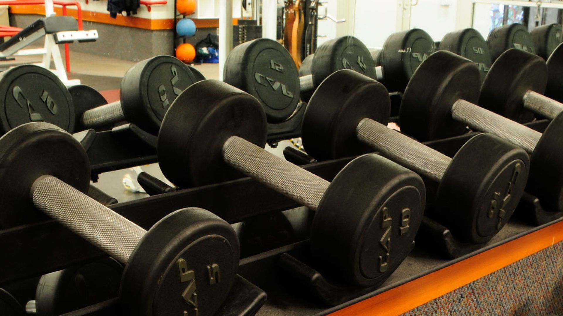 Kinesiology & Athletic Training 32 Pathway Pacific University